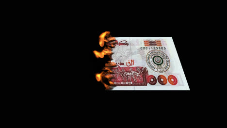 burning currency