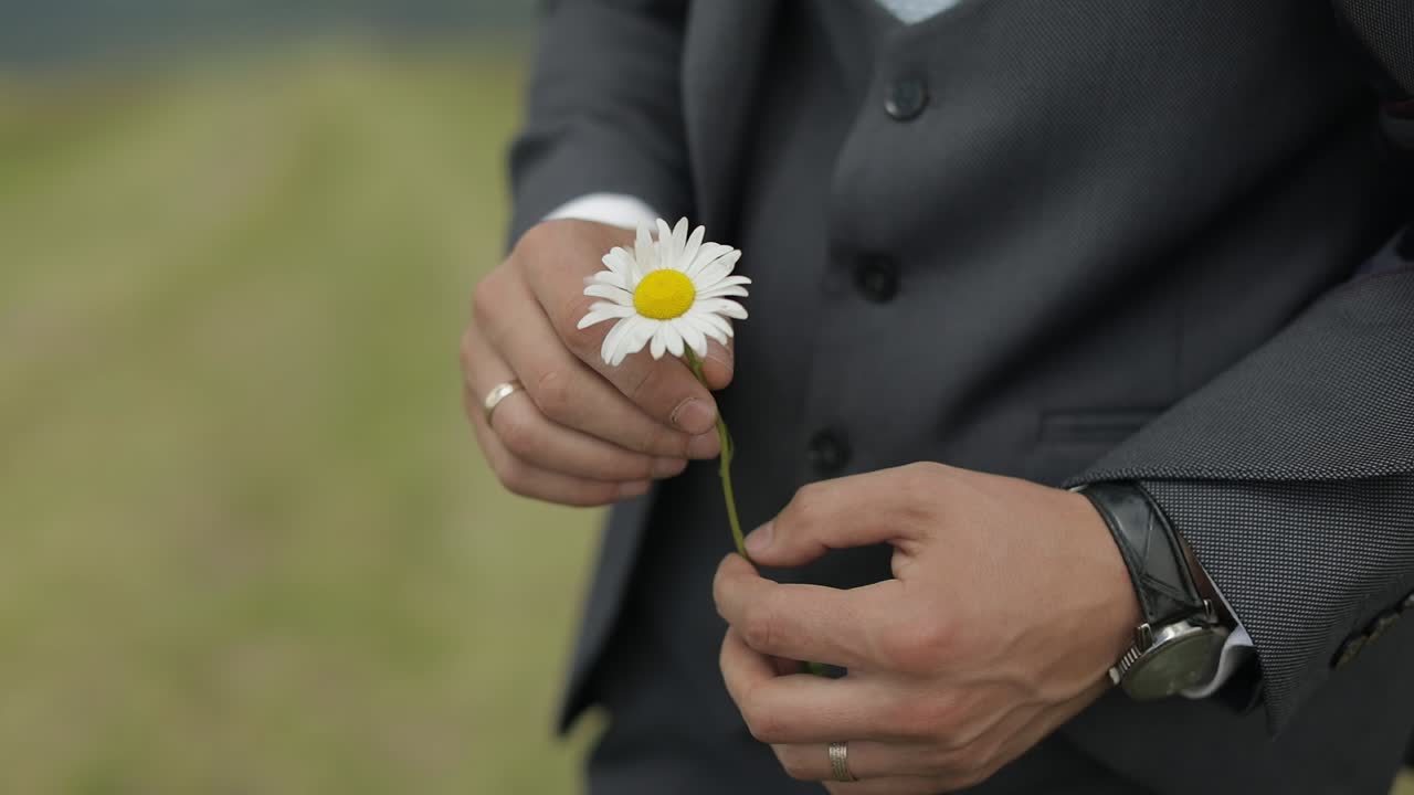 야생 카모과 함께 사업가 손의 근접. 로맨스, 감정