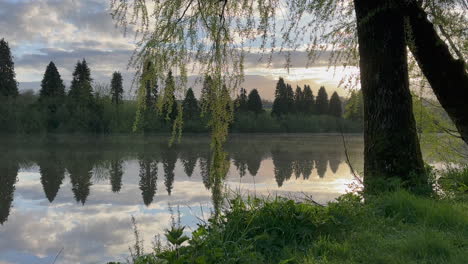 Light fog slowly drifts over natural green river, golden hour nature