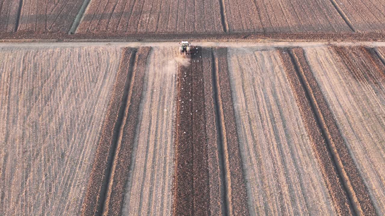 Trattore che percorre un solco arato attraverso un campo geometrico nella Pianura Padana, vicino a San Pietro in Cerro, Piacenza, Emilia-Romagna, Italia, che mette in risalto i macchinari e la struttura del campo