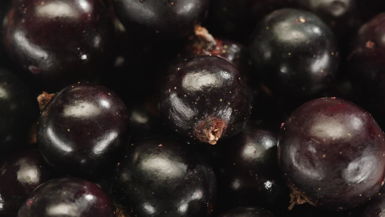 검은 수박의 클로즈업