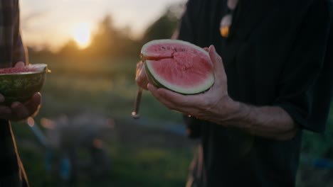 Close-up-of-a-man-in-a-gray-T-shirt-cutting-a-small-watermelon-with-a-knife-in-a-field-at-sunset-on-a-farm