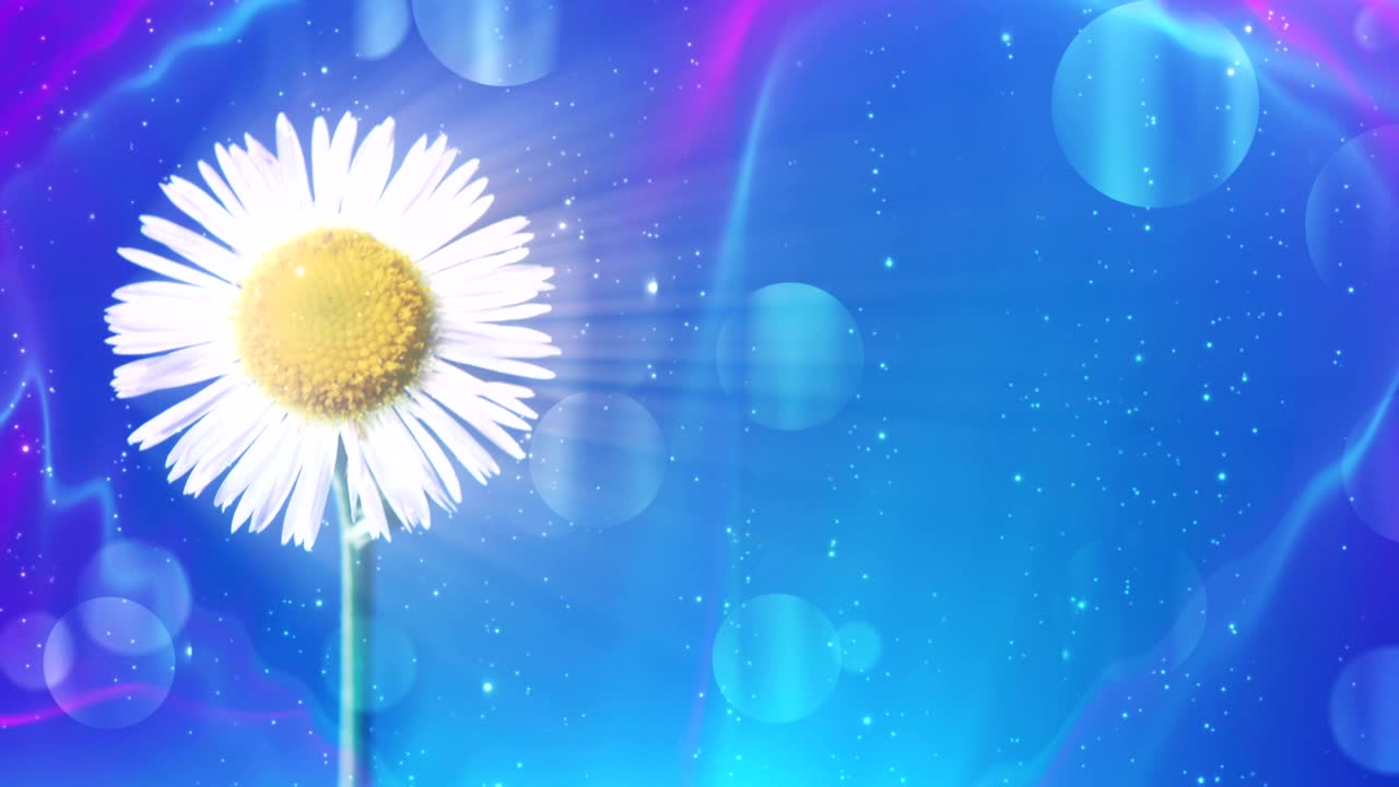 반이는 꽃의 배경 루프