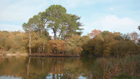 lake - pond with trees at autumn - fall time