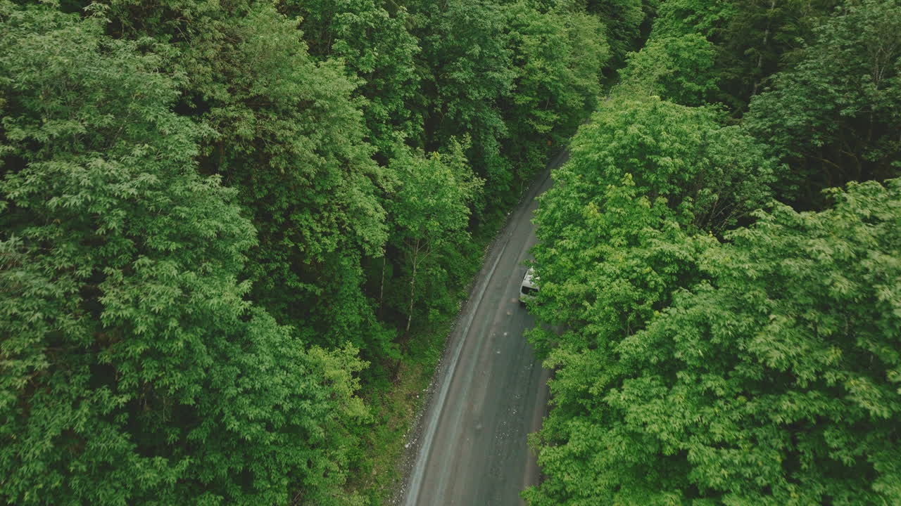 Camping van drives down small gravel road through a dense forest