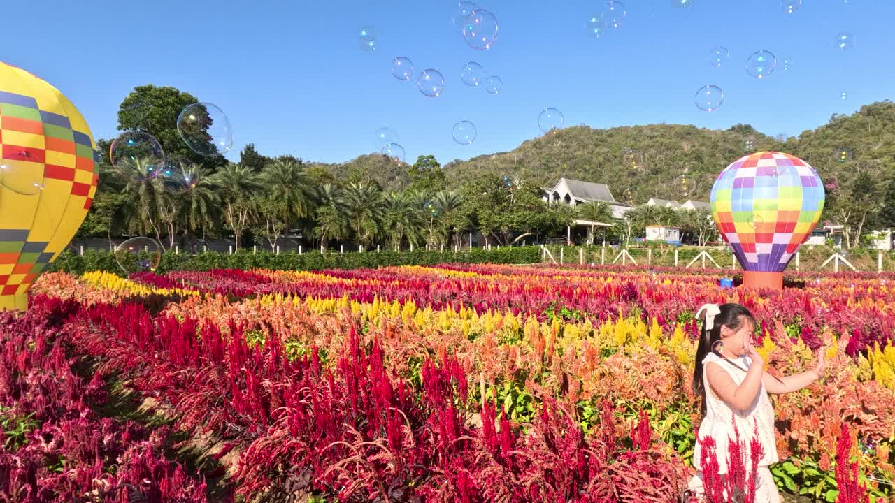 Casal sorridente passeia por um campo de flores vibrante com balões de ar quente decorativos e bolhas.