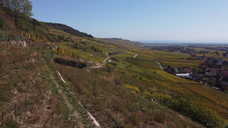 Aerial-dolly-over-the-hillside-vineyards-at-Kaysersberg,-France