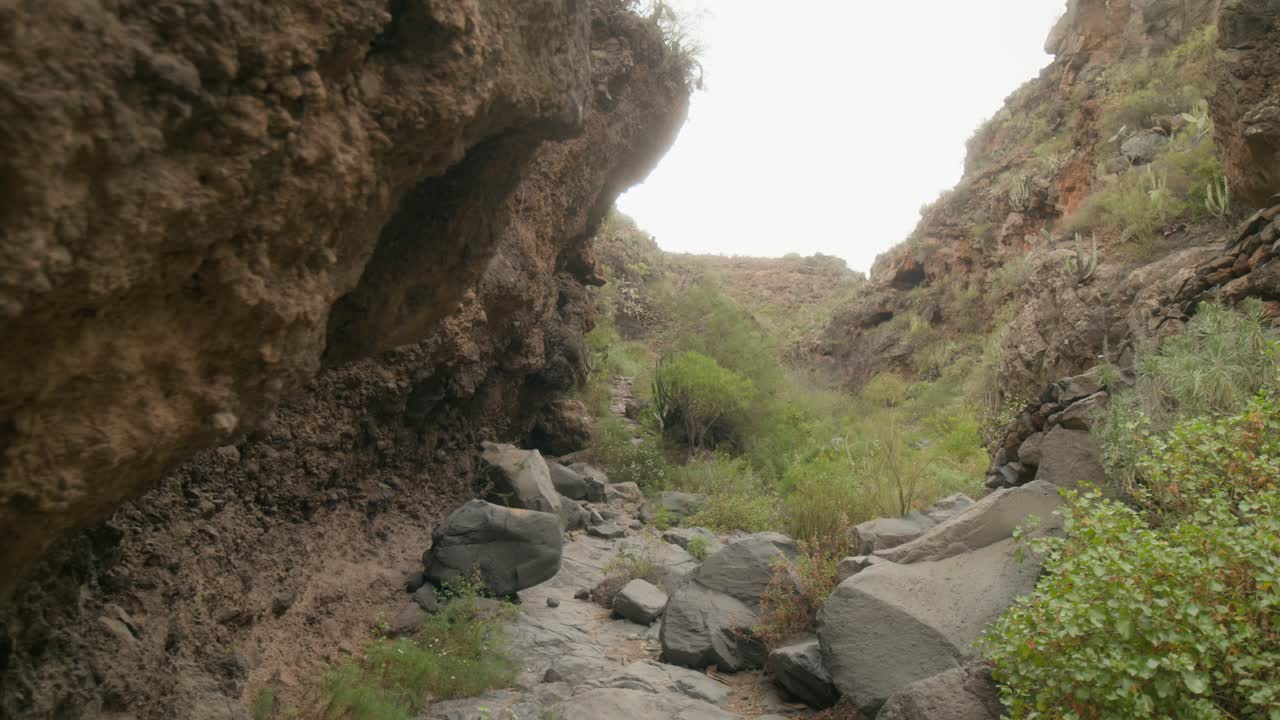 Avsidesliggende steinete kløft med grønne busker og gress på landsbygda i Sør-Tenerife om våren, Kanariøyene.