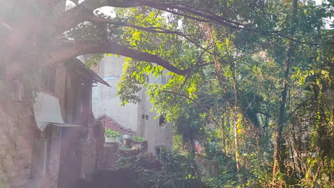 Waste-motorcycle-bathe-in-the-sun-in-waste-village