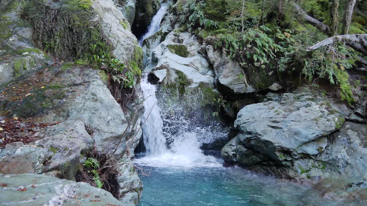 hombre de traje de neopreno con gopro salta del bosque a la piscina fría y clara del cañón