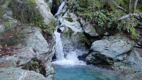 wetsuit man with gopro leaps from forest into cold clear canyon pool