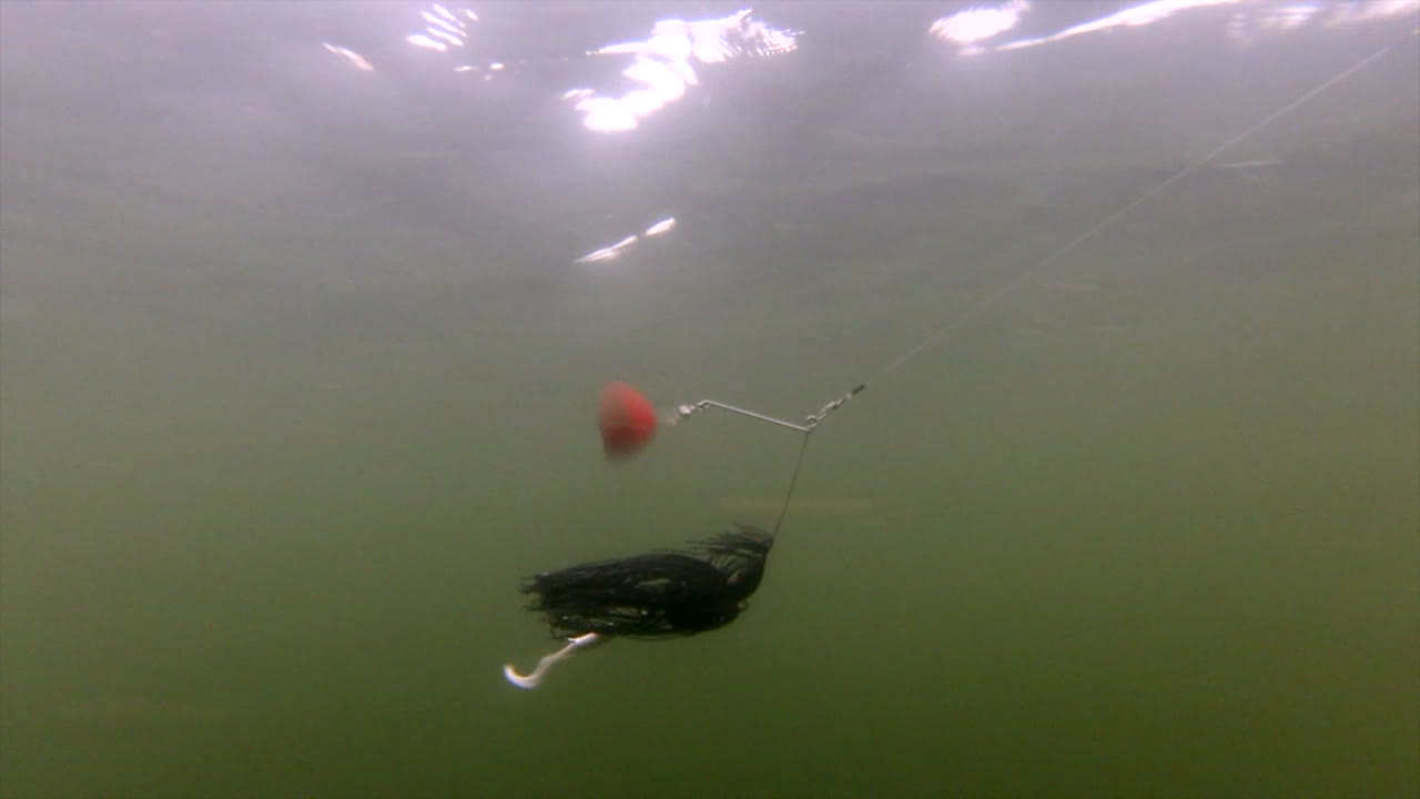 물고기를 유인하기 위해 수중 미끼처럼 움직이는 낚시꾼 미끼 - 수중 슬로우 모션 샷
