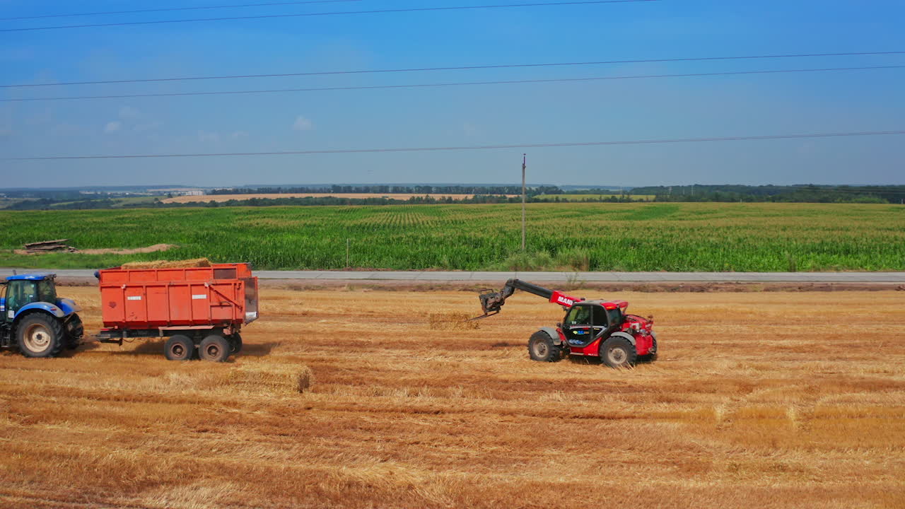 Tractor goes by the mowed field followed by the little excavator. Skid steer loader picks hay bales to upload them onto vehicle.