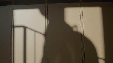 scene of young school boy shadow with his backpack going up stairs