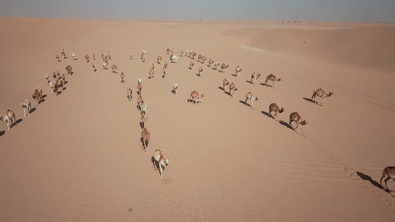 una vista aérea de una caravana cruzando un desierto