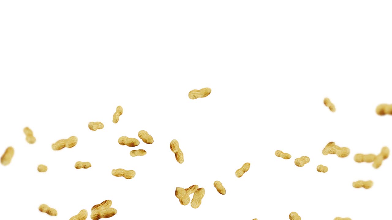 Flying many peanuts on white background. Raw peanuts. Groundnuts in shells. Healthy organic food. 3D loop animation of seed rotating.