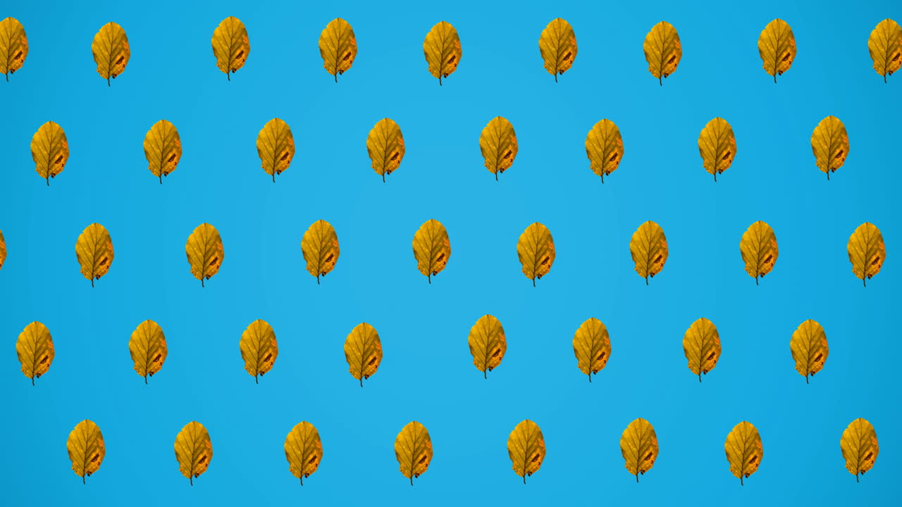animación de filas de hojas amarillas de otoño sobre fondo azul
