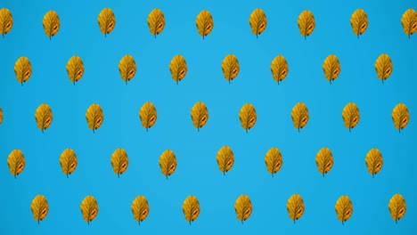 animation of rows of autumn yellow leaves on blue background