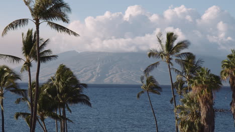 scenic view from wailea beach with palm trees towards west maui mountains and wind farm, hawaii, panorama