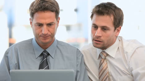 businessmen looking at their laptop