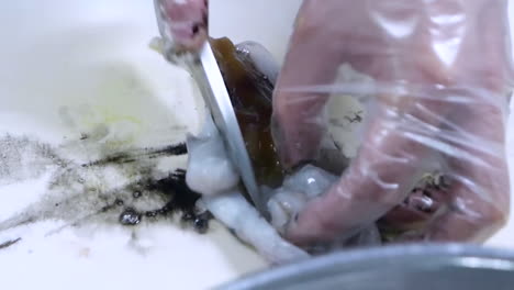 a chef cleans squid. raw seafood