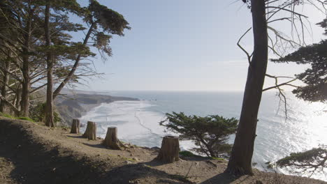 stationary shot from pine tree lined mountain cliff overlooking the pacific ocean in the background located in big sur california