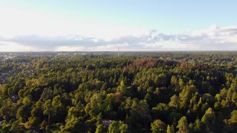 aerial view of dense forest and town in ogre, latvia, under a bright sky.