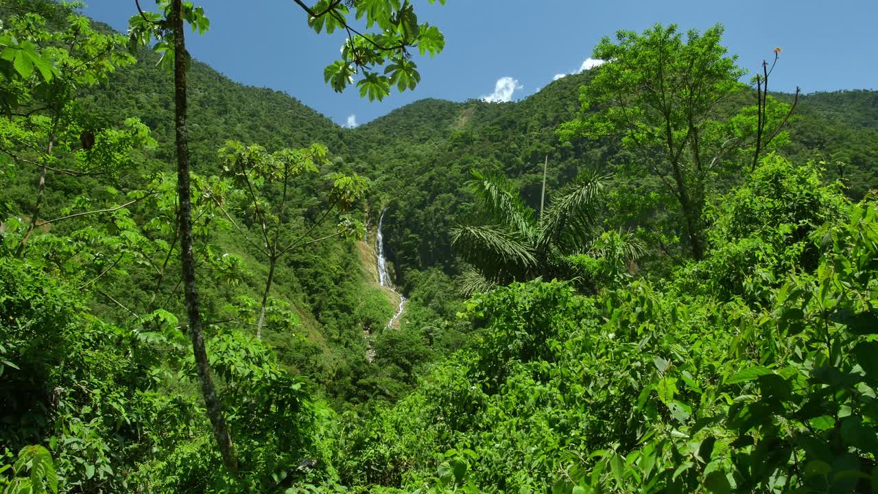 bosque verde en las colinas bolivianas con cascada y cielo despejado