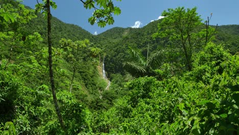 green forest on bolivian hills with waterfall and clear sky