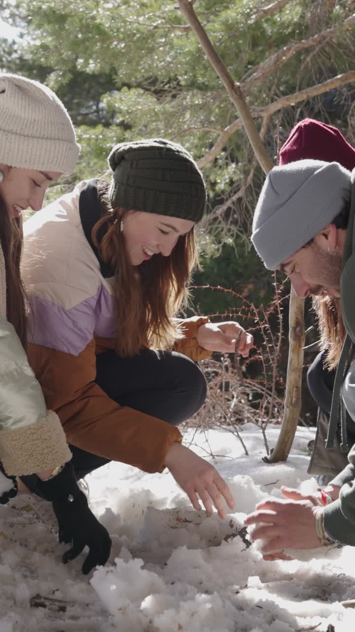Group of friends having fun in the snow