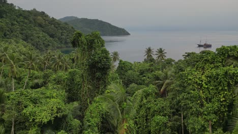 Drone-flying-over-a-dense-jungle-revealing-a-traditional-sailing-boat-anchored-in-a-calm-bay