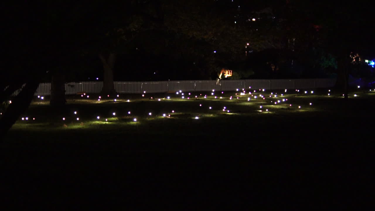 pequeñas luces brillantes bailando en la hierba por la noche - cámara lenta
