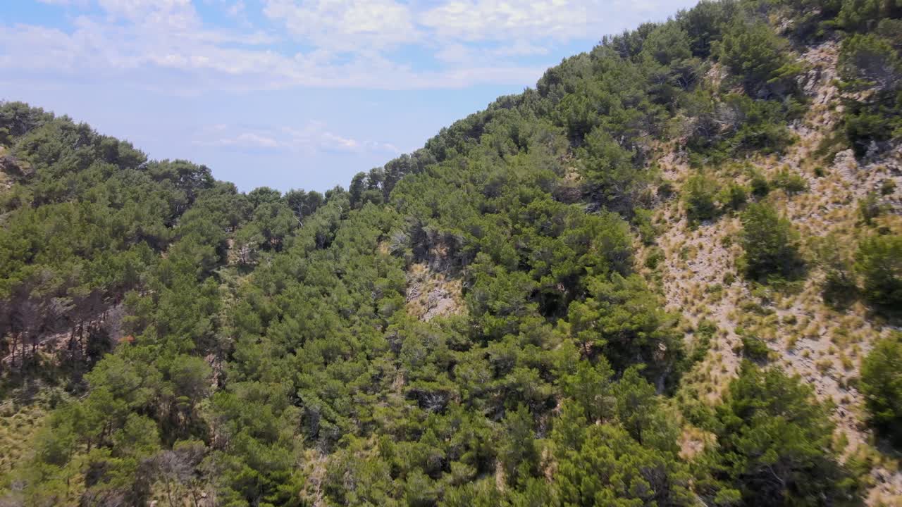 Experience the stunning natural landscapes of Coll Baix and Mal Pas in Puerto de Alcudia, Mallorca. Discover lush greenery, scenic hills, and the tranquil atmosphere of this beautiful region.