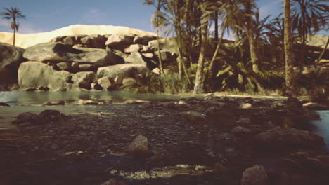 sunny natural landscape with rocks palm trees and clear water