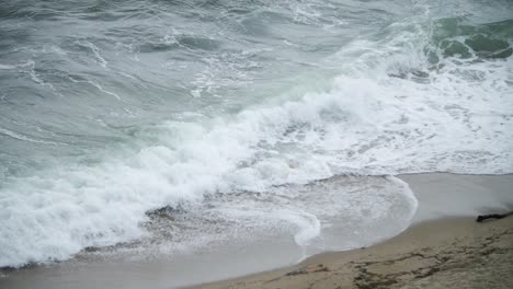 olas marinas turbulentas que causan espuma con un pájaro negro volando en primer plano