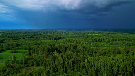 Cielo-Siniestro-Sobre-Un-Frondoso-Bosque-Antes-De-La-Tormenta