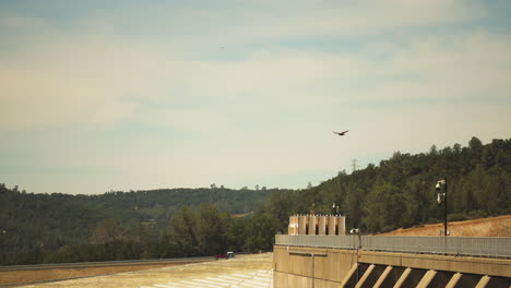 large bird of prey flies over oroville dam on hot summer day in california