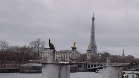 A-Cormorant-Standing-On-A-Pillar-Near-Parisian-Bridge-Over-The-Seine-River-On-A-Cloudy-Day-With-Eiffel-Tower-In-Distance-In-Paris,-France