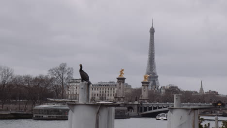 Un-Cormorán-Parado-En-Un-Pilar-Cerca-Del-Puente-Parisino-Sobre-El-Río-Sena-En-Un-Día-Nublado-Con-La-Torre-Eiffel-En-La-Distancia-En-París,-Francia