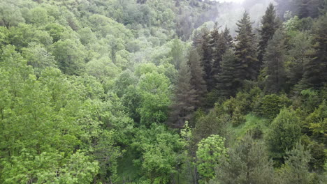 Vista-Aérea-De-Un-Maravilloso-Bosque-Neblinoso-De-Los-Pirineos-En-El-Que-Hay-Todo-Tipo-De-árboles,-Pinos,-Abetos,-Hayas,-Abedules,-Etc