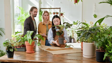 cliente interactuando con el empleado de la tienda de plantas