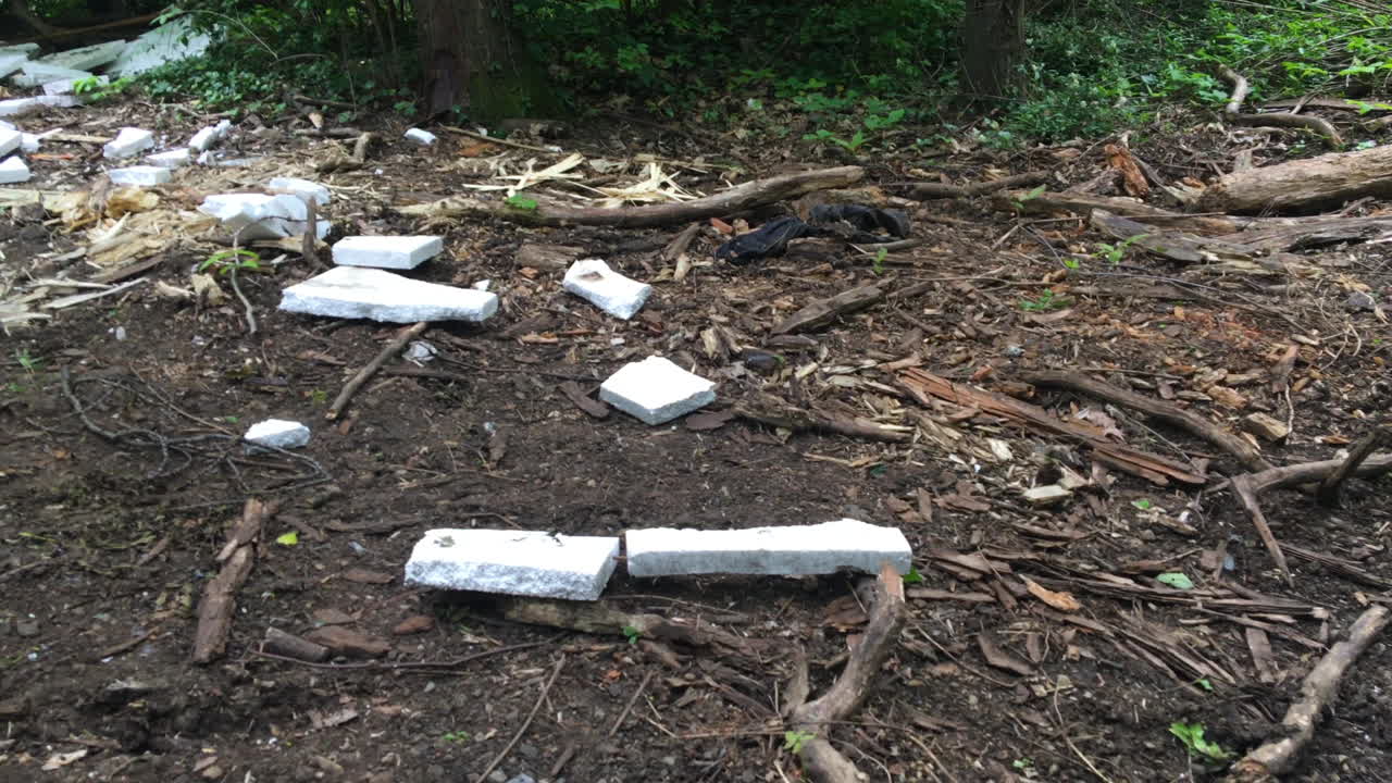 야생 동물 오염