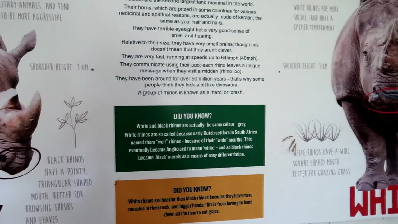 vista de cerca de un tablero de información de rinocerontes negros y rinocerontes blancos en ol pejeta conservancy, kenia