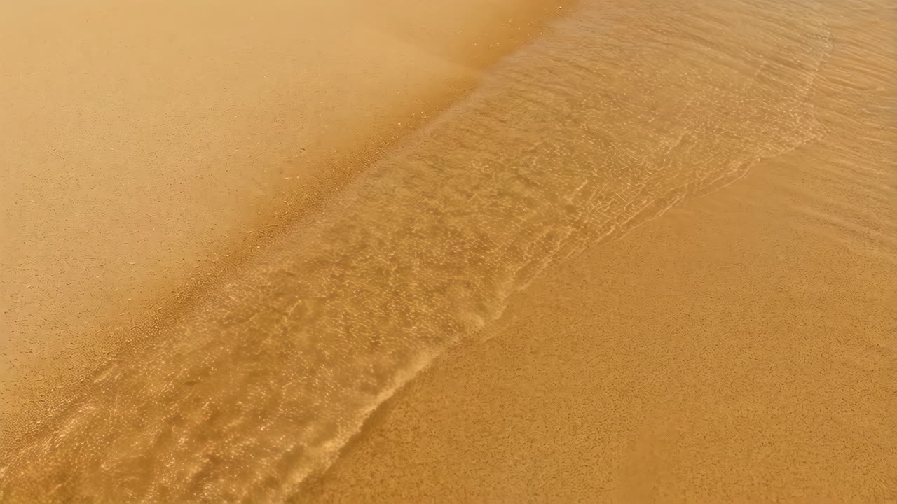 해변의 모래와 물