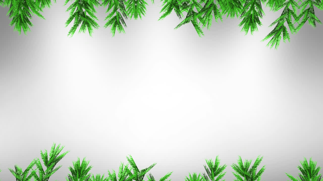 Animation of fir trees branches over white background