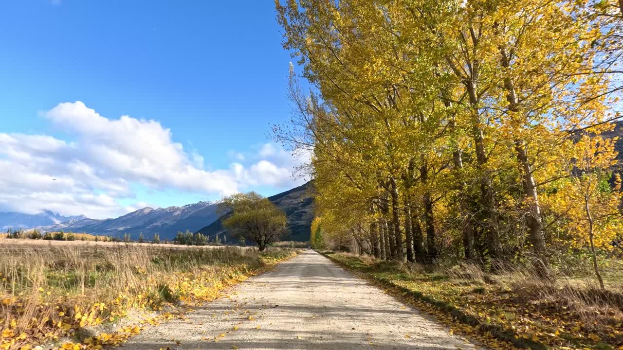 Forward-moving car view along rural gravel road, autumn trees, mountains, bright daylight, steady camera