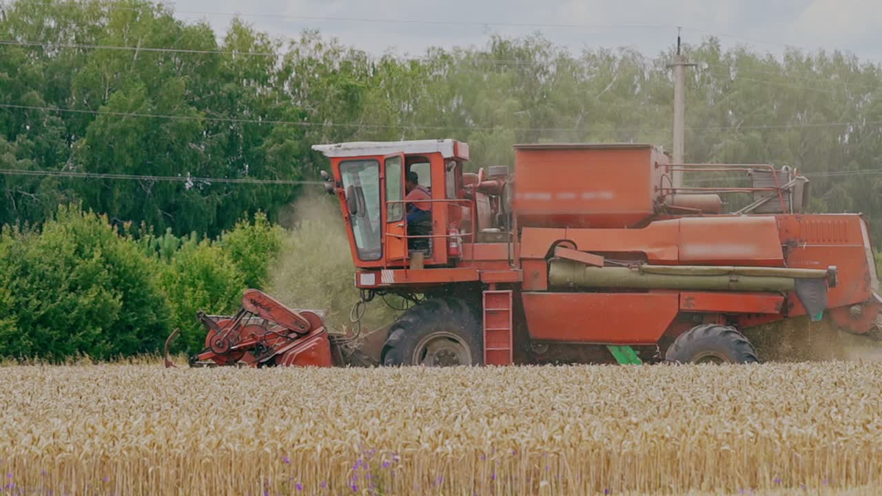 Combine harvester working on a wheat field. Agricultural sector. Wheat Harvesting