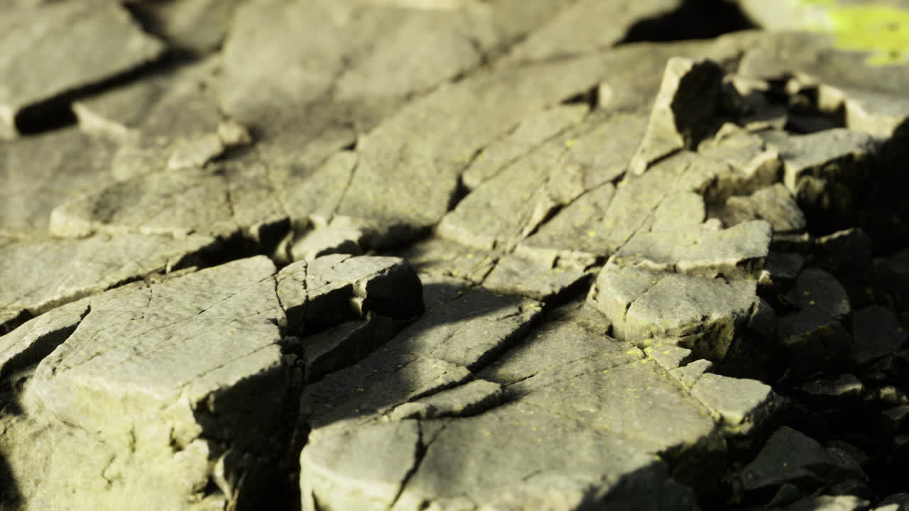 Close up of textured rock surface showing natural patterns and colors