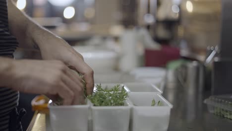 chef preparing herbs in the kitchen