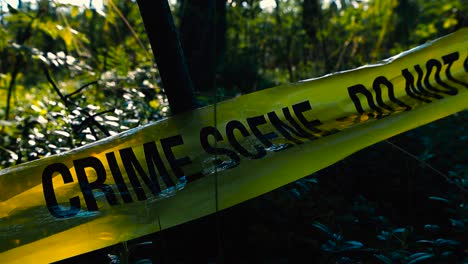 close up of a yellow colored police crime scene do not enter caution tape ribbon abandoned on a forest sunny foliage ground during summer or autumn time. the ribbon is wrinkled and sun shines on it